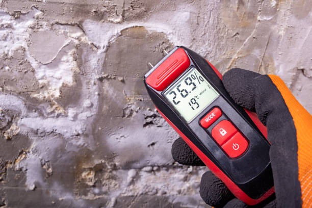Best Professional Mold Removal  in Bountiful, UT